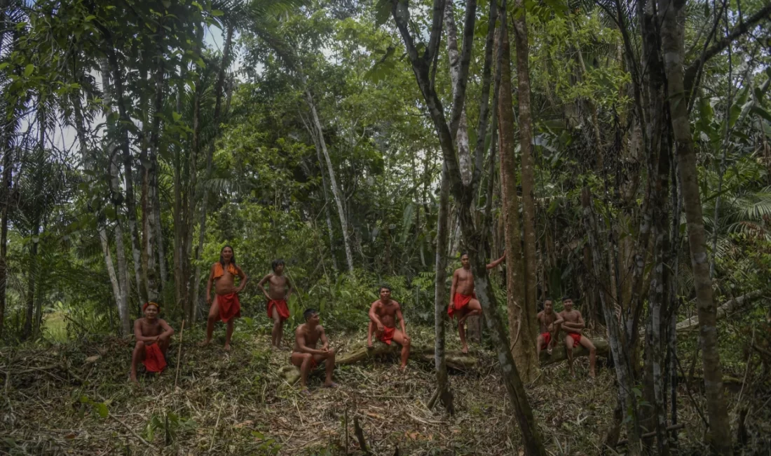 How to indigenous people live in the rainforest?