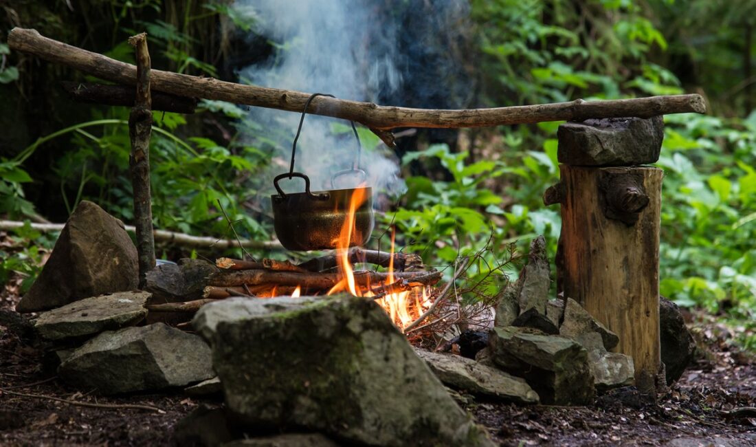Jungle Cooking Gear: Camp Stoves, Cookware, and Food Tips